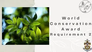 World Conservation Award Requirement 2