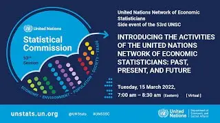 Introducing the Activities of the UN Network of Economic Statisticians  Past, Present, and Future