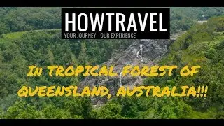 The Tropical Rainforest of Australia {La for&ecirc;t &eacute;quatoriale d'Australie}