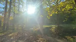The new Hatfield Cemetery path to visit my great grandfather Devil Anse!