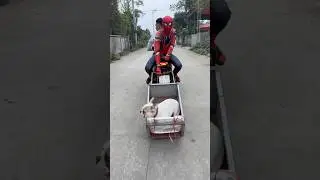 Crying Baby Chases the Meat Hunter to Save His Beloved Dog #dog #lovedog #pets