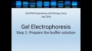 Go STEM Camp 2020- Gel electrophoresis Steps 1-3
