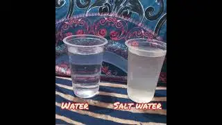 Experiment with water and salt water
