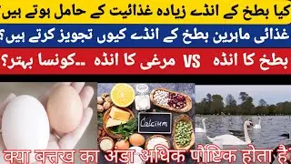 why Duck egg is more Nutritious? Urdu / Hindi