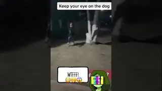 Caught On Camera&hellip;Omg That&rsquo;s A Paranormal Ghost Dog‼️ 🤭😱😳