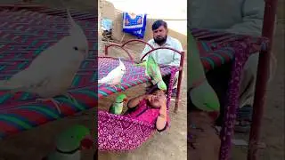 &ldquo;Innocent Child Sleeping with Loving Parrots 🦜❤️ | Pure Village Love&rdquo;