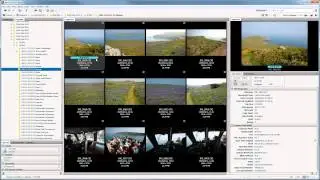 04 Sorting Images In Bridge