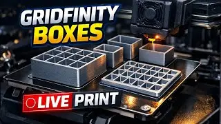 3D Printing Gridfinity Bins (LIVE) Modular Desk Organization Build
