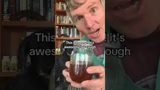 Coughing dog? Don&rsquo;t use OTC Cough Syrup!