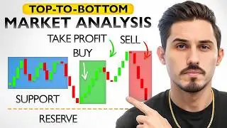 Last Market Analysis Video You Need | Top to Bottom Guide for Beginners (XAU/USD)