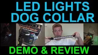 LED Light Safety Dog Collar Rechargeable Nylon High Night Visbility by Yacig Demo Review