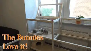 An Affordable DIY Pet Bunny Hutch that Everyone can Build! - Home Wood Working Projects Part #1