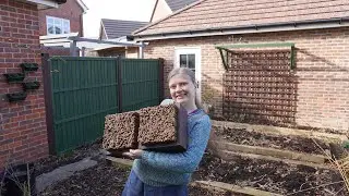 Bee the Change: Building Pollinator Hotels for Wild Bees