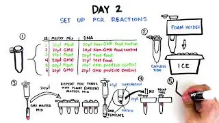 GMO Investigator Kit Student Activity Video Quick Guide