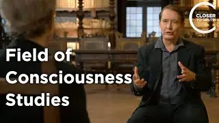 Etzel Carde&ntilde;a - The Field of Consciousness Studies