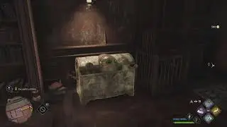 Hogwarts Legacy - Disillusionment