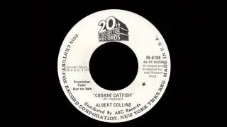 Albert Collins - Cookin' Catfish