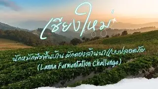 Traditional Fermentation: Safe Lanna-Style Pickled Vegetables (Lanna Fermentation Challenge)