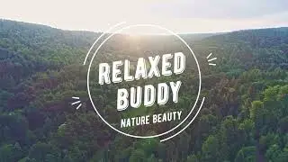 18 Minutes Music for Mind Relaxation 🎵