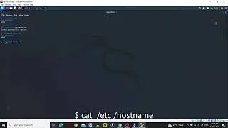 How To Change Hostname In Kali linux. In Hindi // Scamworld // Kali linux // @kali