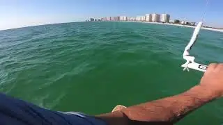 Sharks Clearwater Kitesurfing