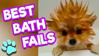 The Best Animal Bath Fails of 2017 | #thatpetlife