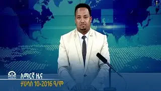 የምሽት 2፡00 አማርኛ ዜና -  ታህሳስ 10 2016 ዓ/ም  | Watch Live Streaming |