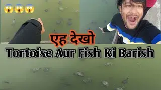 Eh Dekho Kitna Tortoise Aur Fish 🐠 ll Machhi Ki Barish ll sajrul doha 1877