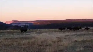 Morning at Zion Mountain Ranch