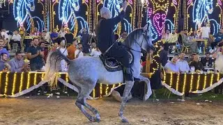 رقص خيل المعلم كرم سرحان جديد في جديد حفله محمد الشنواني طنطا2025