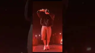 Badshah USA Tour Highlights | Live in Virginia #TheUnifinishedTour