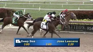 Gulfstream Park Replay Show | February 20, 2016
