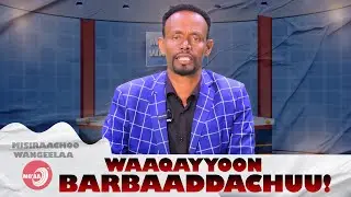Waaqayyoon Barbaaddachuu! - Misiraachoo Wangeelaa