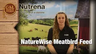 Nutrena Meatbird Feed