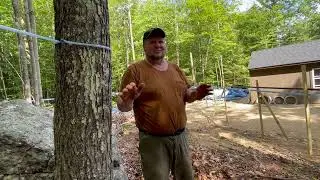 Vermont sugarmaker says to size your mainline right