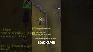 Fastest Thieving XP in OSRS 💰