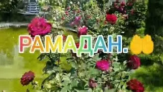 Ифтар в месяц РАМАДАН 2024