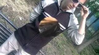 fitza fitzelor.....wmv