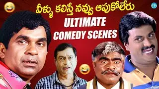 Ms Narayana B2B Comedy Scenes | Babu Mohan Comedy Scene | Sunil | Brahmanandam | Telugu Comedy Scene