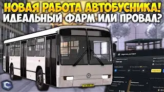 НОВАЯ РАБОТА АВТОБУСНИКОМ — ИДЕАЛЬНЫЙ ФАРМ ИЛИ ПРОВАЛ? СМОТРИМ НА ЗАРПЛАТЫ! — CCDPlanet