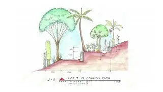 The Permaculture Master Plan of Bali's First Eco Community