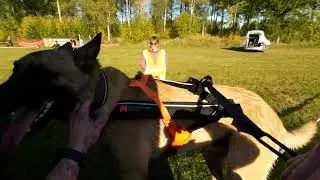 Muddy Paws K9 Biathlon sep -24, Tid: 24.58.3 min