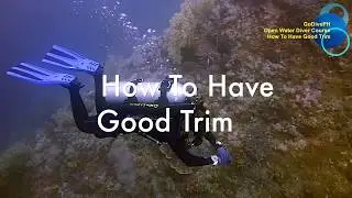 How To Have Good Trim while Scuba Diving