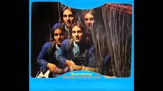 Pluralis - Göttsching