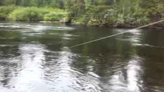 Manne landar Ammarnäsöring