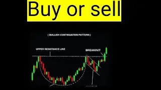 Hoth Therapeutics , HOTH STOCK ANALYSIS BUY OR SELL