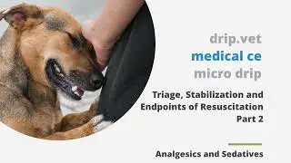 micro drip - Triage, Stabilization and Endpoints of Resuscitation Part 2