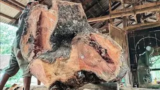 surprising discovery of giant hard irregular shaped logs in sawmill