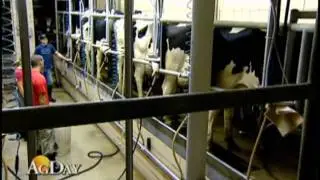 Dairy Today Report: MILC Payments