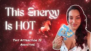 THIS FIERCELY INDEPENDENT POWERHOUSE WILL BECOME VERY CLINGY WHEN THEY MEET YOU! THEY'RE SO SPRUNG!